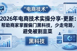 2026年电商技术实操分享-更新：帮助商家掌握偏门黑科技，少走弯路，避免被割韭菜
