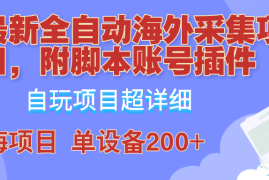 （12646期）全自动海外采集项目，带脚本账号插件教学，号称单日200 