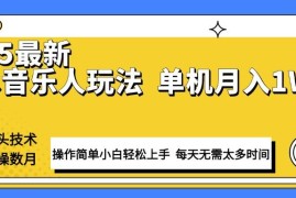 （13977期）最新汽水音乐人计划操作稳定月入1W  技术源头稳定实操数月小白轻松上手
