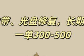 录像带、光盘修复项目，非常稳定适合长期做，一单300-500 
