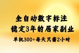 全自动数字标注，稳定3年的蓝海项目，居家也能矩阵开干的副业，单机日入3张 【揭秘】