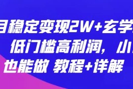 每月稳定变现2W 玄学项目，低门槛高利润，小白也能做 教程 详解【揭秘】