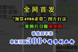 小红书“预算4980带我飞”图片打法，一张图片引爆创业粉，私信回不完，单条引流300 精准创业粉