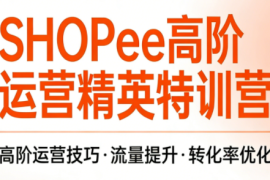 梦凡老师·Shopee虾皮高阶运营课程