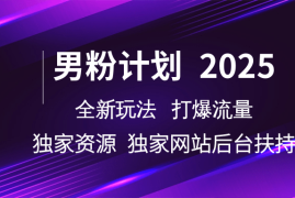 男粉计划2025 全新玩法打爆流量 独立网站 独立资源后台扶持