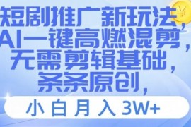短剧推广新玩法，AI一键高燃混剪，无需剪辑基础，条条原创，小白月入3W 【揭秘】