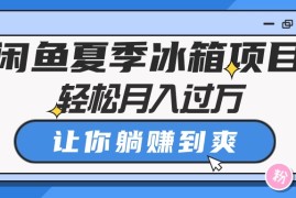 （10673期）闲鱼夏季冰箱项目，轻松月入过万，让你躺赚到爽