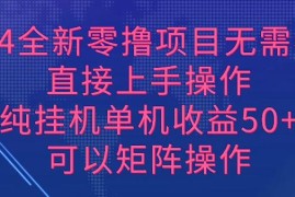 2024全新零撸项目，无需养机，直接上手操作纯挂机单机收益50 ，可以矩阵操作