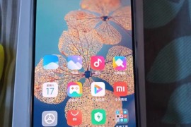 小米手机青春版(小米手机青春版换电池多少钱)