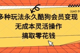 多种玩法永久酷狗会员咸鱼无成本赚米，轻轻松松就可操作，无基础要求