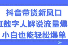 （11401期）抖音带货新风口，AI数字人解说，流量爆炸，小白也能轻松爆单