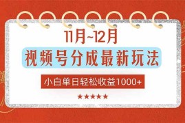 （16639期）11月~12月视频号分成最新玩法，小白单日轻松收益1000 