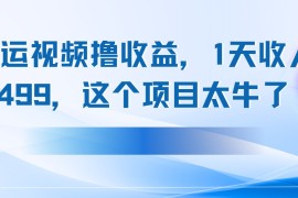 搬运抖音中视频撸收益，1天收入499，这个项目太牛了