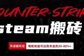 Steam搬砖，每轮收益为本金的20-80%，平均每天仅需半小时，新人轻松上手