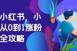 掘金小红书，小红书从0到1涨粉变现全攻略