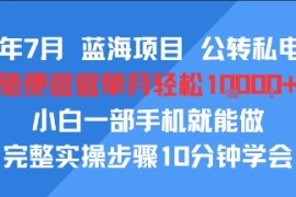 25年7月蓝海项目，公转私电商，随便做做单月轻松1w，小白一部手机就能做，完整实操步骤10分钟学会