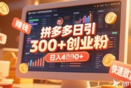 拼多多创业引流项目，每天吸引200 付费创业粉，实现日入多张 稳定收益