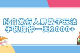 （14041期）抖音发行人野路子玩法，手机操作一天2000 