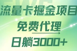 （12321期）流量卡掘金代理，日躺赚3000 ，变现暴力，多种推广途径
