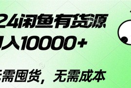（10338期）2024闲鱼有货源，月入10000 2024闲鱼有货源，月入10000 