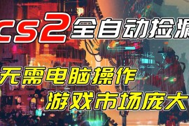 （17160期）开年王炸CSGO挂机项目，单日捡漏1000 ，无需电脑操作，无需进入游戏，支持任何验证