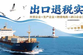 出口退税实操-外贸企业 生产企业 跨境电商 进口企业（四课合一）