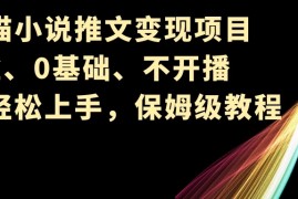 小说推文变现项目，0粉丝、0基础、不开播、小白轻松上手，保姆级教程