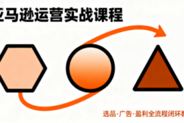 毕方电商·亚马逊全站会员课程(更新3月)