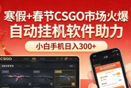 寒假 春节CSGO市场火爆，配合游戏自动挂G软件，小白只用一台手机也可日入3张【揭秘】