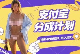 利用海外靶场射击视频，挣支付宝分成收益，轻松月入过W【揭秘】