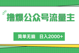 （10310期）撸爆公众号流量主，简单无脑，单日变现2000 