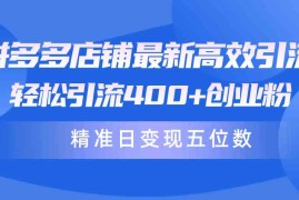 （10041期）拼多多店铺最新高效引流术，轻松引流400 创业粉，精准日变现五位数！