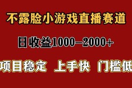 一天收益1000  暑假高收益稳定项目