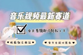 音乐视频赛道最新玩法，纯原创不违规，可所有平台同时发布，会点剪辑即可轻松拿捏
