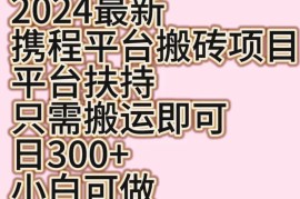 2024最新携程平台搬砖项目，平台扶持只需搬运即可，日300 ，小白可做
