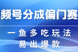 视频号创作者分成计划偏门类目，容易爆流，实拍内容简单易做