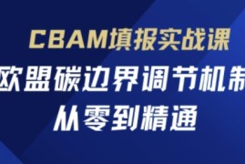 CBAM填报实战课，欧盟碳边界调节机制，从零到精通