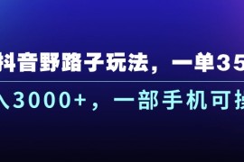 （10909期）抖音野路子玩法，一单35.日入3000 ，一部手机可操作