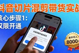 （16319期）抖音切片混剪带货实战：权限开通、商品挂车、混剪手法，新手月入8000 