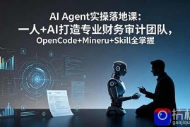 AI Agent实操落地课：一人 AI打造专业财务审计团队，OpenCode Mineru Skill全掌握