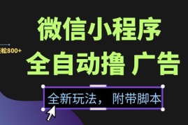 （15134期）微信小程序挂机撸广告，全新玩法，新手一天轻松800 【附带脚本】