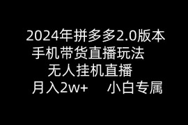 （9768期）2024年拼多多2.0版本，手机带货直播玩法，无人挂机直播， 月入2w ， 小…