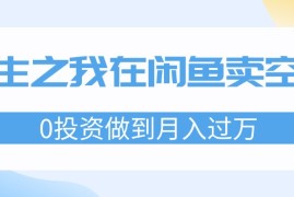 （11962期）重生之我在闲鱼卖空调，0投资做到月入过万，迎娶白富美，走上人生巅峰