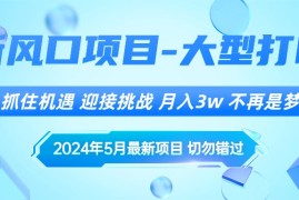 （10597期）2024年5月最新风口项目，抓住机遇，迎接挑战，月入3w ，不再是梦