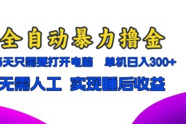 （13186期）全自动暴力撸金，只需要打开电脑，单机日入300 无需人工，实现睡后收益