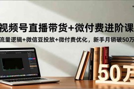 （16684期）视频号直播带货 微付费进阶课：流量逻辑 微信豆投放 微付费优化，新手月销破50万