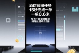 酒店截图任务，15秒完成一单，一单0.6米，任务不限量随便接，矩阵拉满单日3张【揭秘】