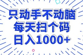 （13041期）只动手不动脑，每个扫个码，日入1000 