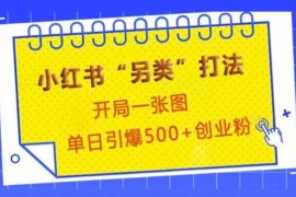 小红书“另类”打法，开局一张图，单日引爆500 精准创业粉【揭秘】