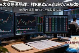 （16269期）三大交易系统课：裸K形态/三点趋势/三板体系，单月收益率30% 92节实操内容